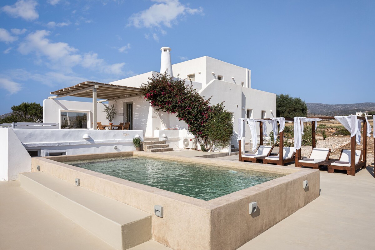The villa's exterior features a modern design with clean lines and a neutral color palette. A private pool is positioned in front, surrounded by wooden sunbeds draped in white fabric. Lush greenery and flowering plants enhance the outdoor space, with the tranquil landscape visible in the background.
