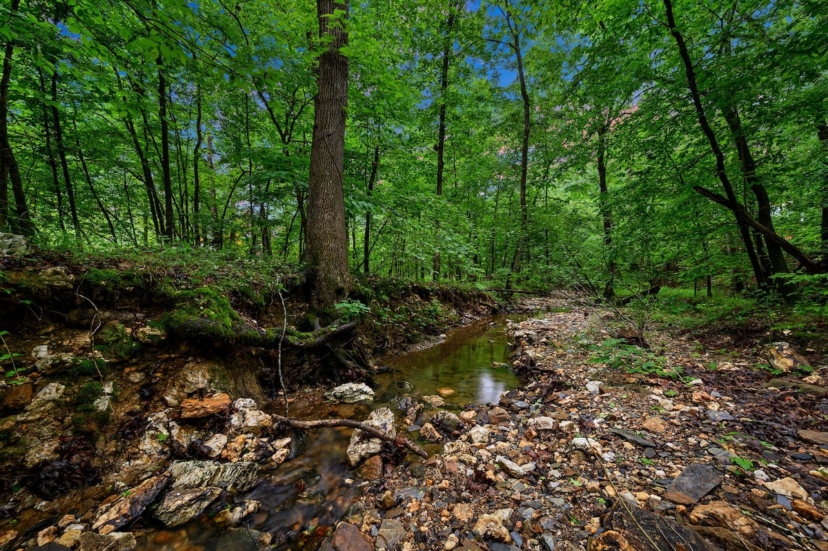 Beaver Creek photo 5