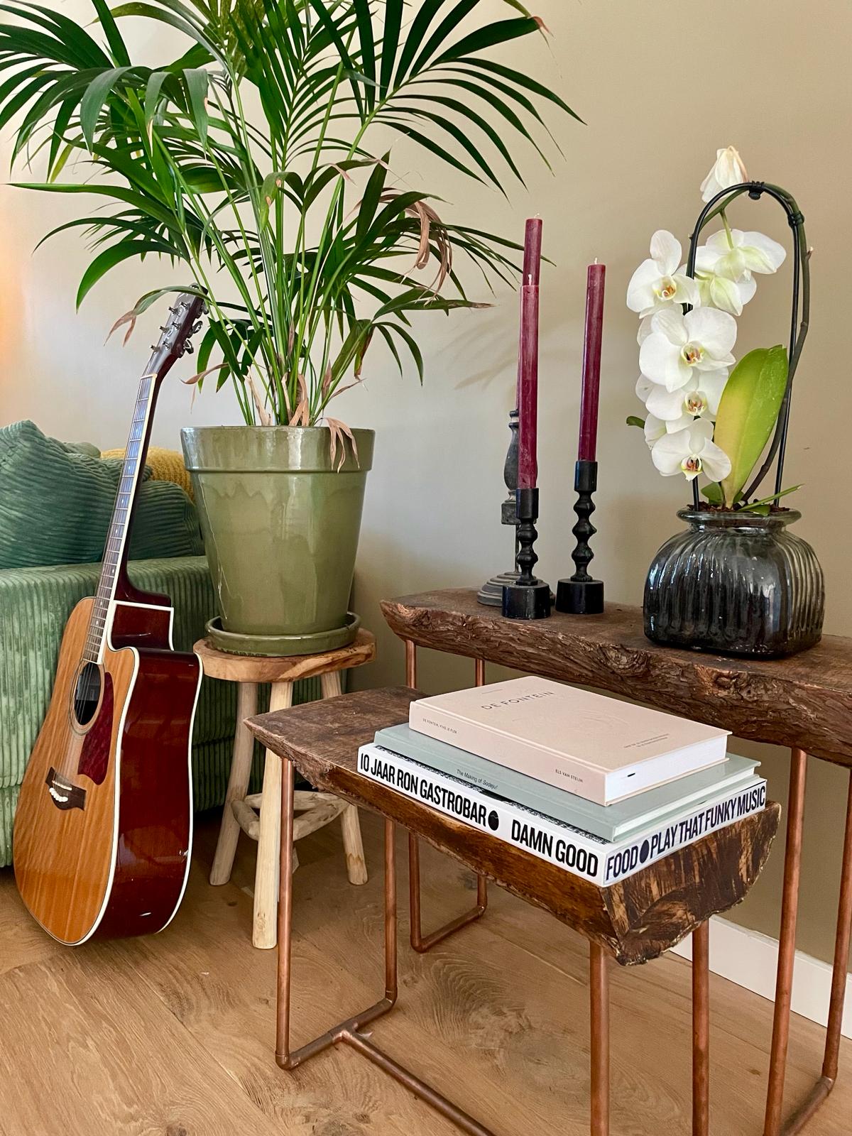 A warm and inviting corner features a potted plant alongside a decorative guitar. Two candle holders with candles stand on a rustic wooden table, while a small vase with an orchid adds elegance. Stacked books rest on the table, enhancing the cozy atmosphere.