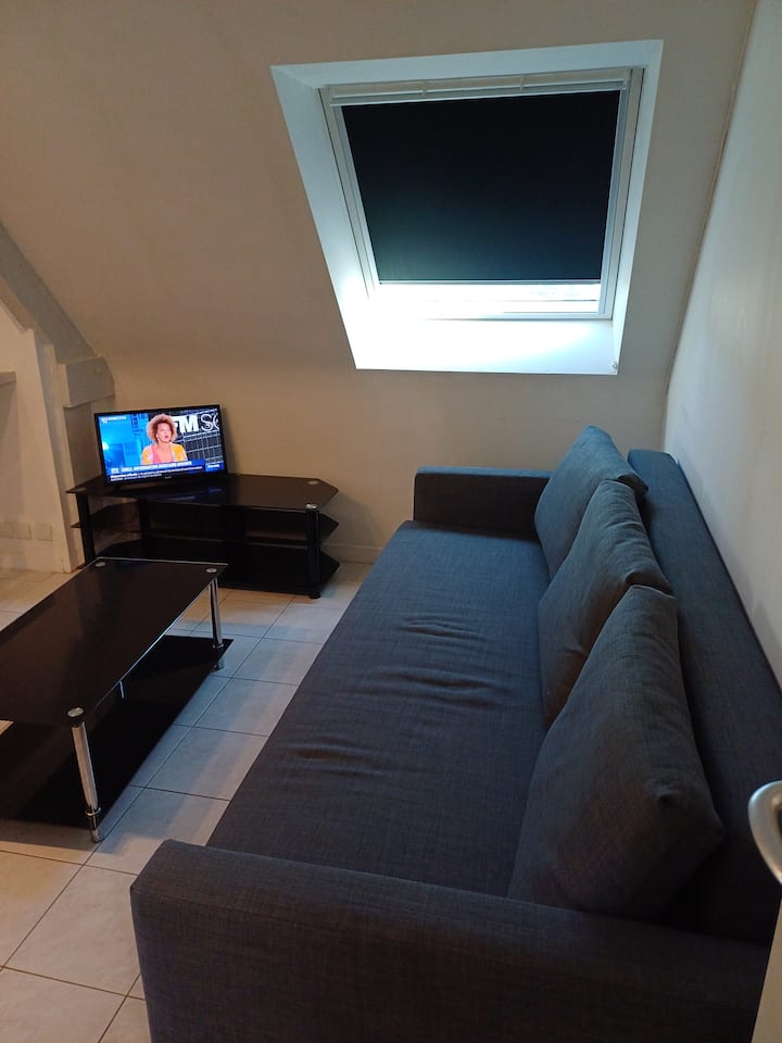 Appartement T2 Proche Des Côtes - Pleumeur-Bodou