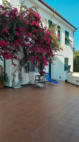 Entire home with 3 bedrooms in Imperia - two steps from the sea Villa