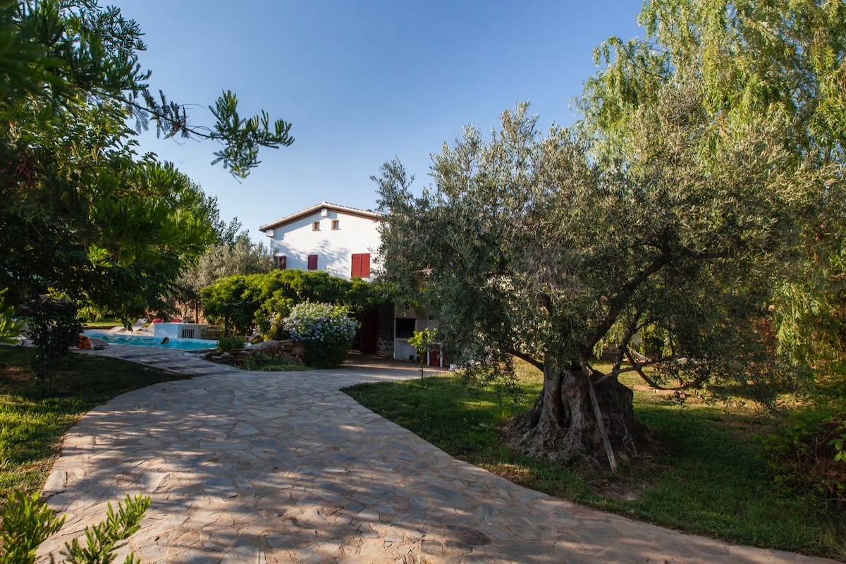 A stone pathway leads through lush greenery towards a two-story building, framed by olive trees. The structure features red shutters and a partially visible swimming pool surrounded by flowering plants, offering a serene natural setting.