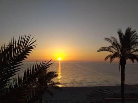 A serene sunset landscape features the sun descending toward a calm sea, casting warm orange and yellow hues over the water. Silhouetted palm trees frame the scene, providing a tropical ambiance as the shoreline stretches out in the background.