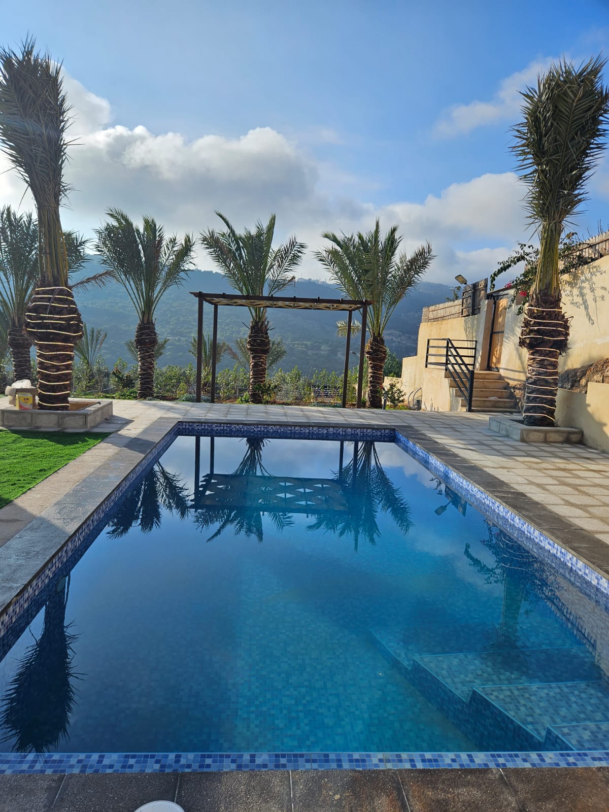 A tranquil swimming pool is surrounded by lush palm trees, providing a serene backdrop against the mountainous landscape. Sunlight reflects off the water's surface, and a pergola is visible nearby, enhancing the outdoor space's inviting feel.
