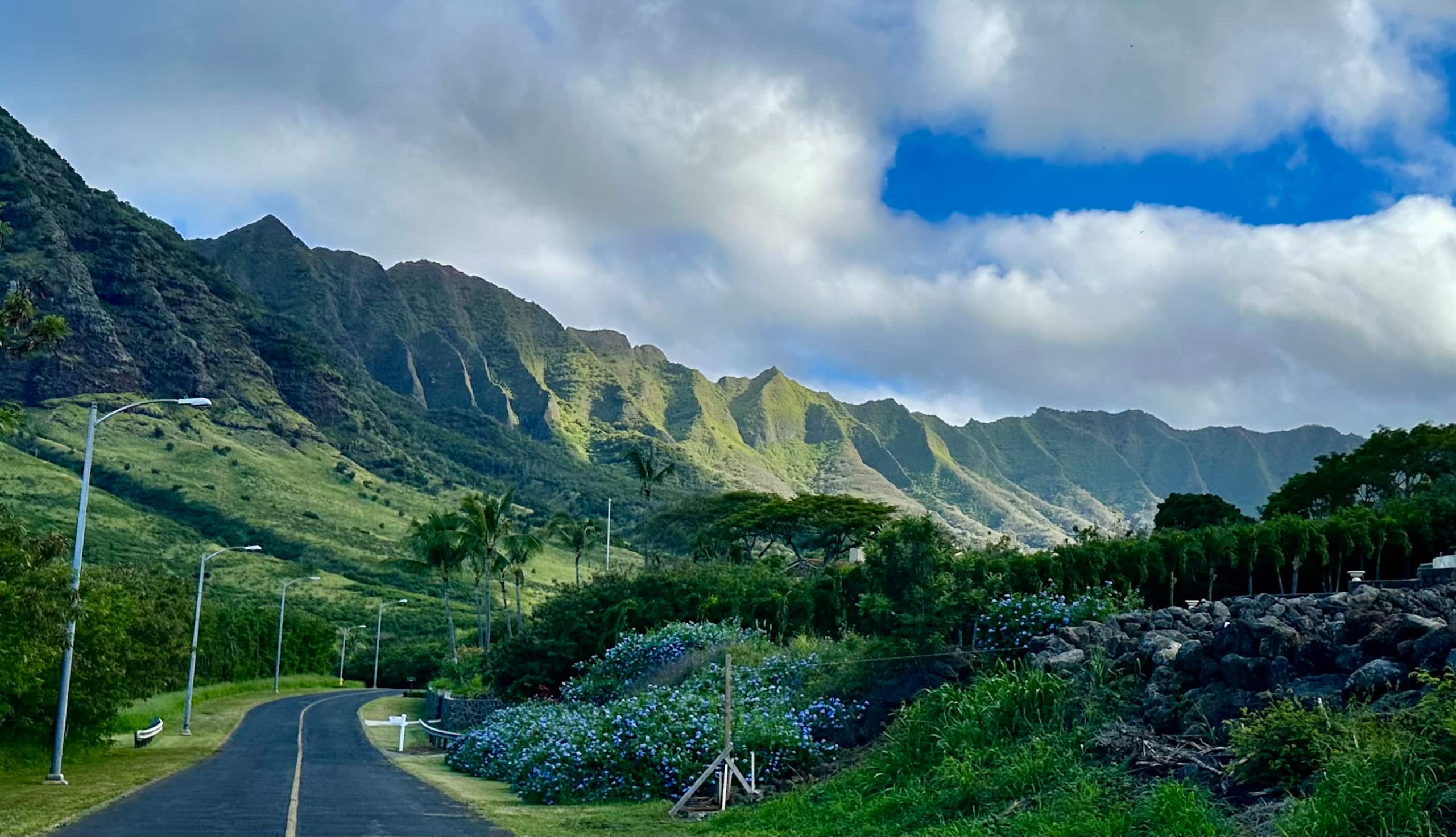 Home in Waianae · ★4.98 · 4 bedrooms · 6 beds · 3.5 shared baths - Image 33