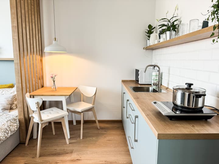 Studio Apartment Trenčín - Trenčín