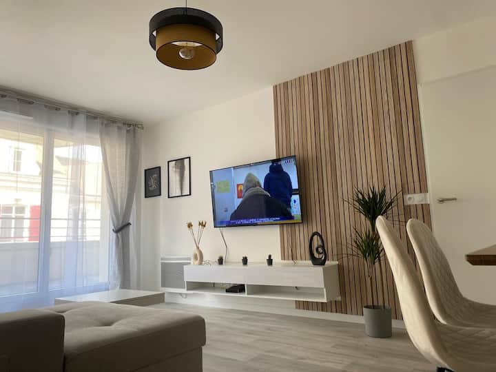 Bel Appartement, Proche Centre Ville Et Gare - ibis Le Mans Est Pontlieue