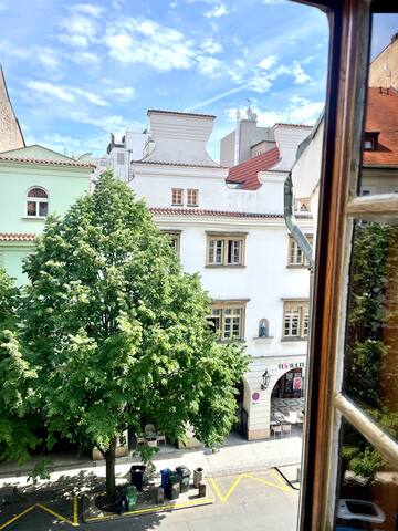 Tiny House Old Town gallery image 5