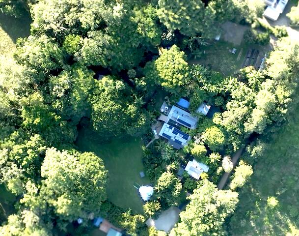 Private Home In the Pocket Byron gallery image 2