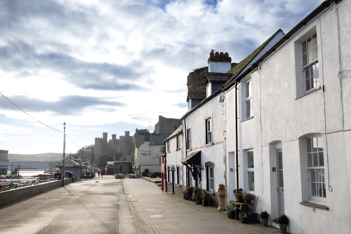 A charming row of traditional stone cottages lines the quiet quayside, with the historic castle walls visible in the background. Potted plants are placed along the walkway, and the sky reflects soft clouds above, enhancing the serene atmosphere along the water's edge.