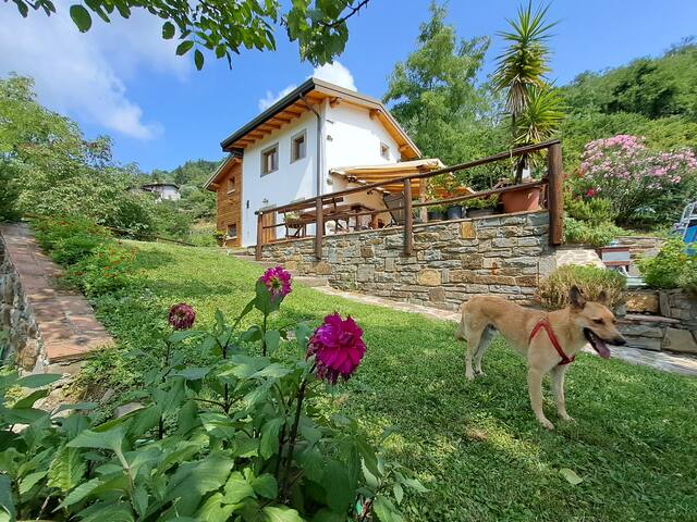 Rustico immerso nel verde