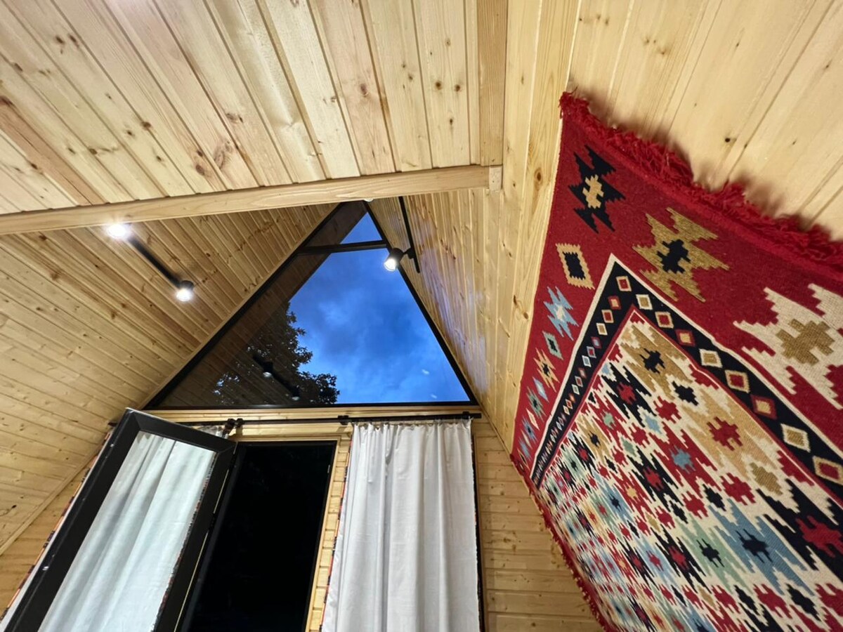 The interior features a wood-paneled ceiling with a triangular skylight providing a view of the sky. An intricately designed area rug rests on the wooden floor, adding a splash of color and texture, while light fixtures enhance the room's ambiance.