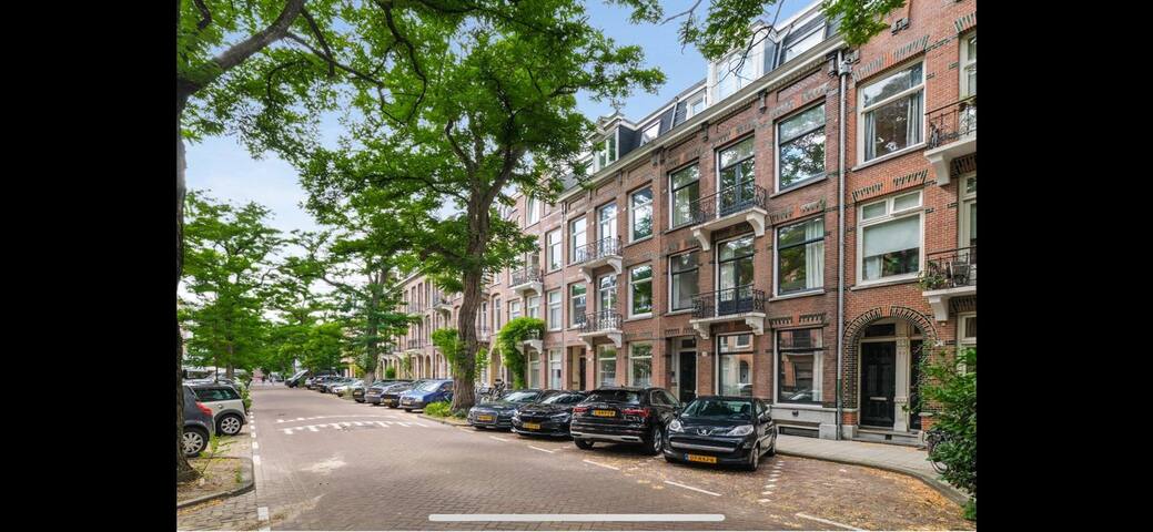 Stylish, spacious family home in great location gallery image 2