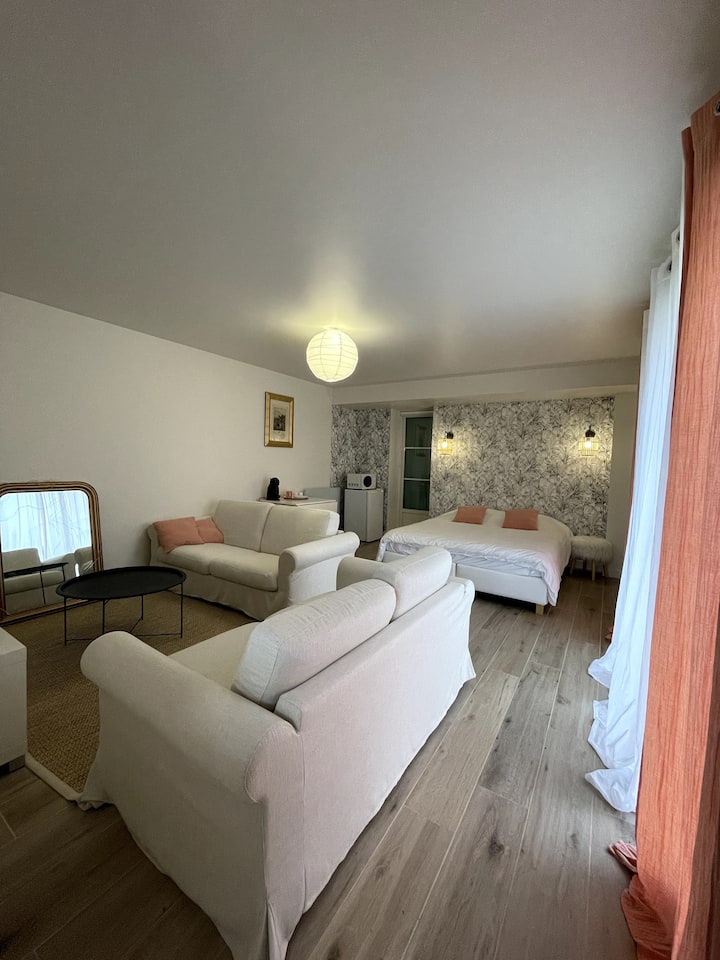Chambre Sdb Privative Et Jaccuzi - Orleans