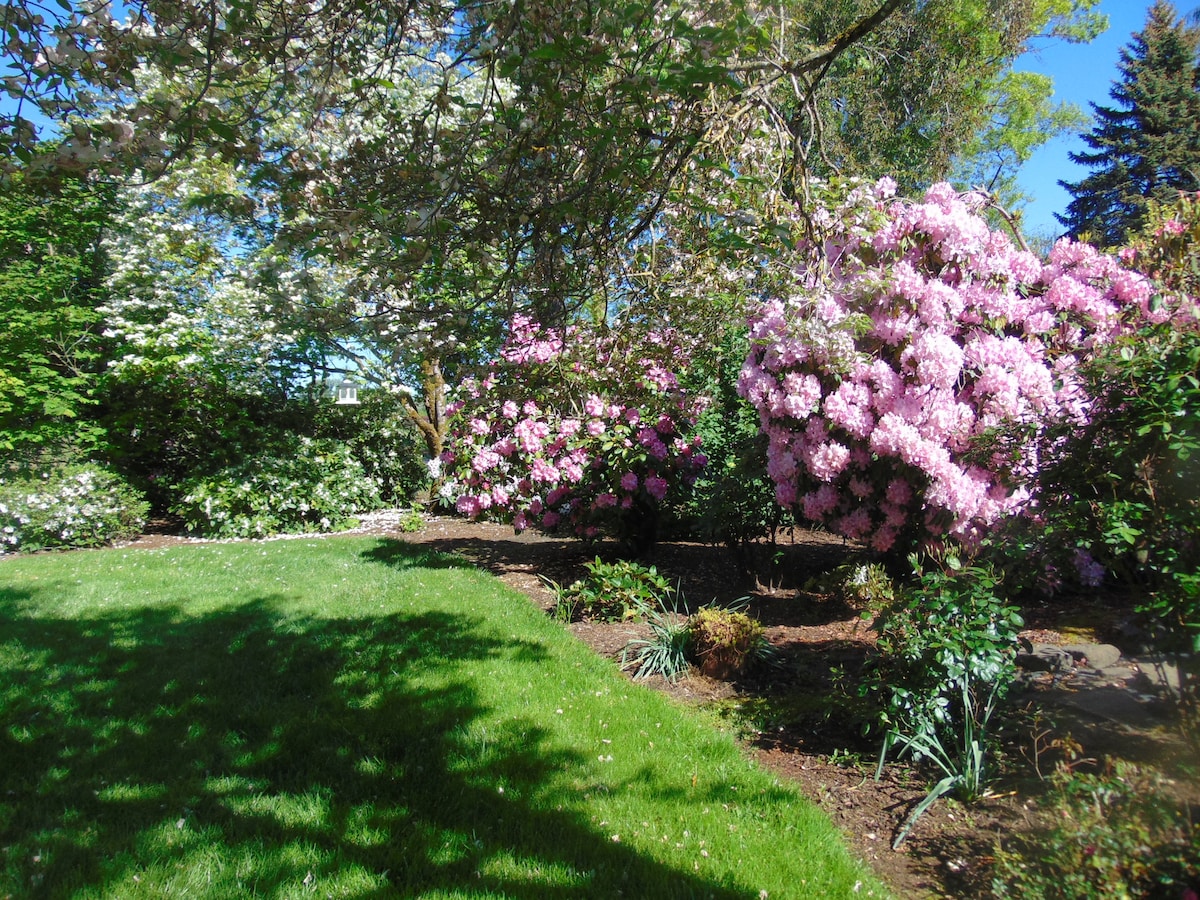 Lush greenery is displayed in a vibrant garden bordered by blooming pink rhododendron bushes. The manicured lawn provides a soft, inviting space, while the sunlight filters through the trees, creating gentle shadows across the landscape.