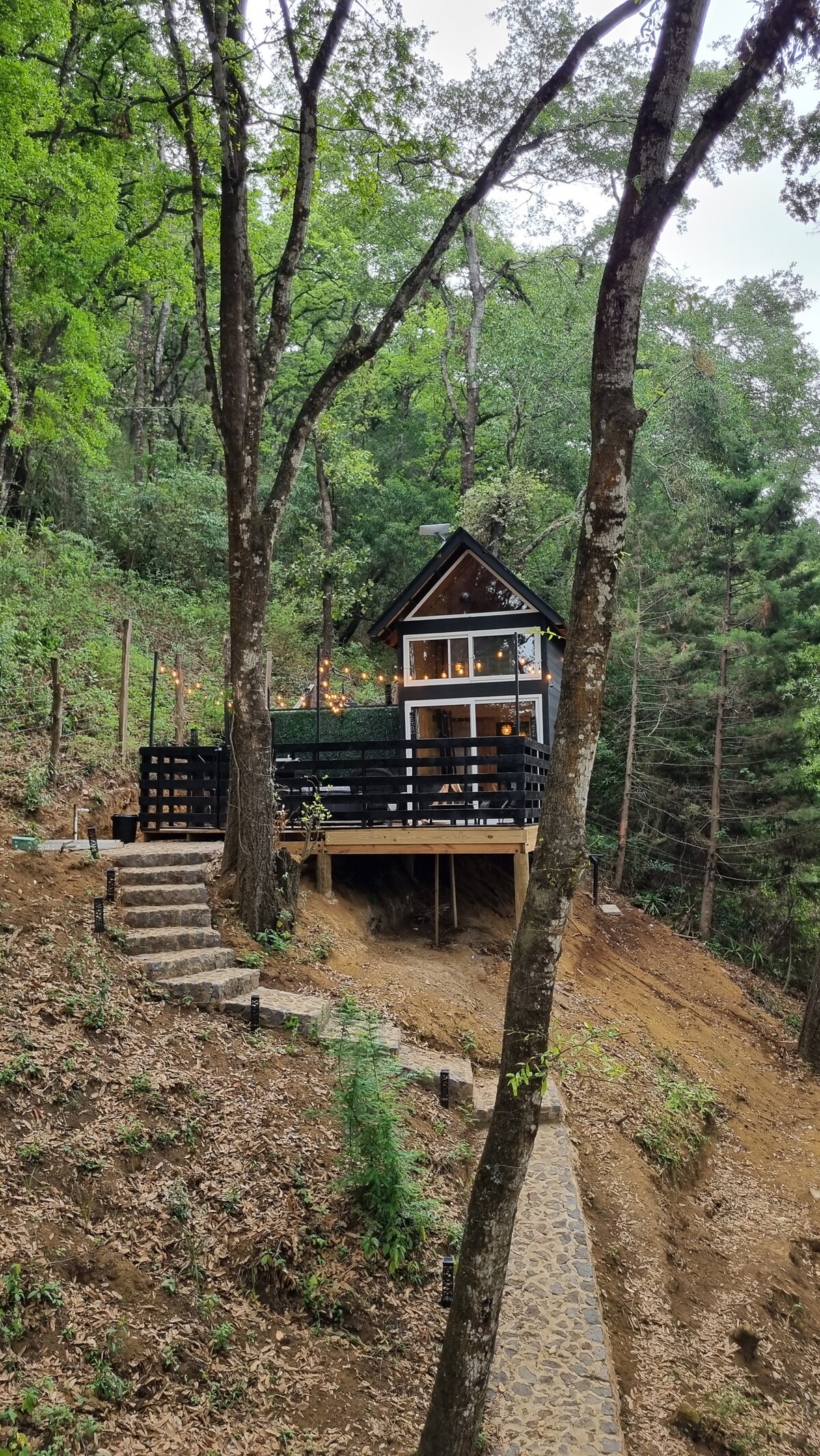 A charming cabin is nestled among the trees, elevated on a hillside. It features a large deck with string lights, surrounded by lush greenery. A stone pathway leads from the ground level to the entrance, emphasizing the cabin's secluded forest setting.