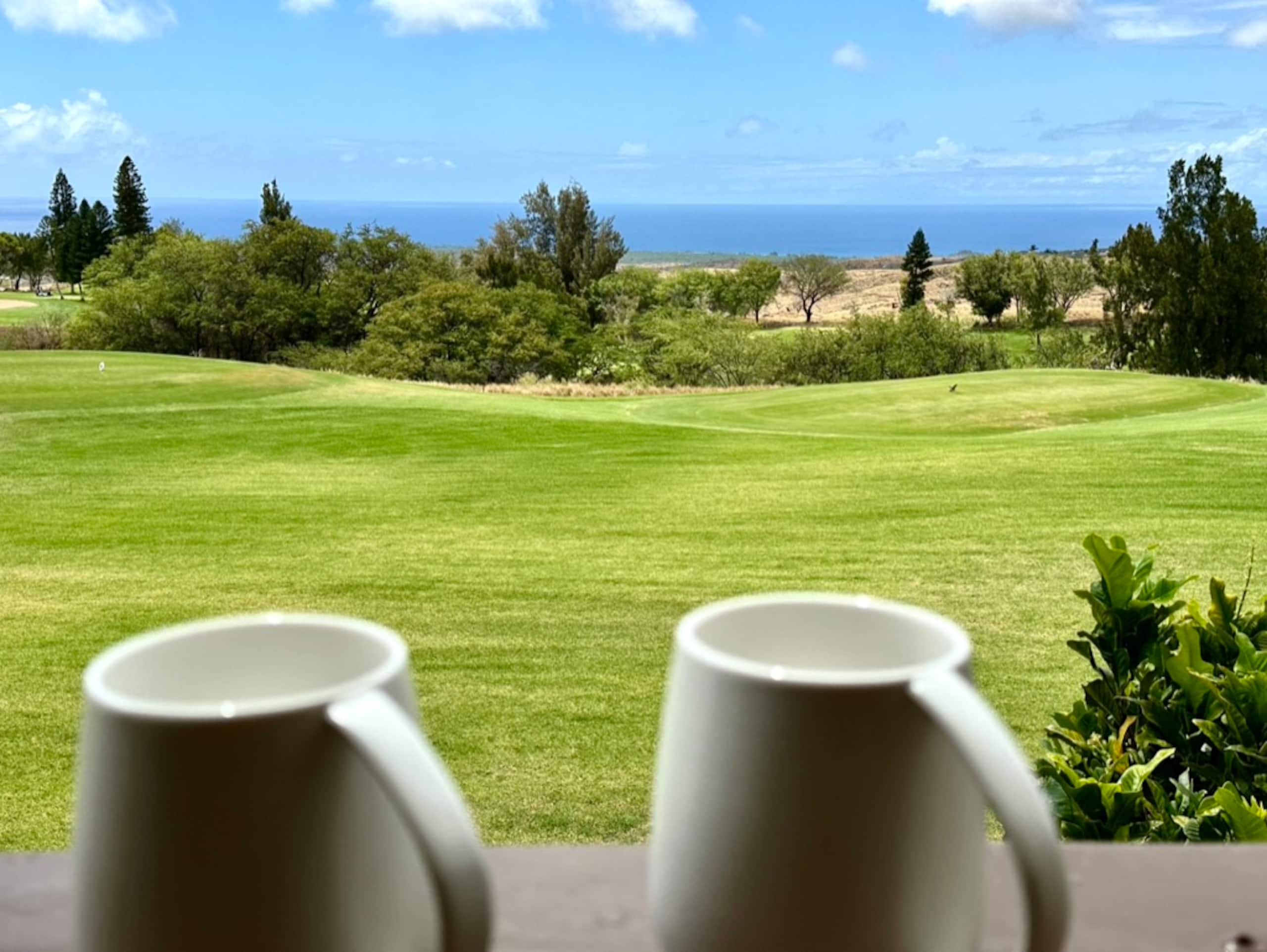 Condo in Waikoloa Village · ★4.93 · 1 bedroom · 4 beds · 1 bath - Photo 78
