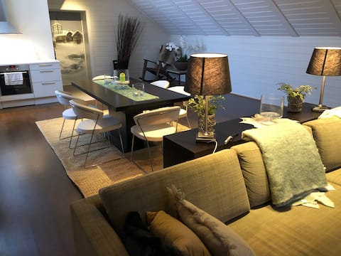 Loft in the middle of the city centre