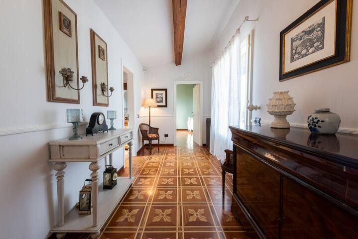 Ippopotamo By MMega gallery image 4