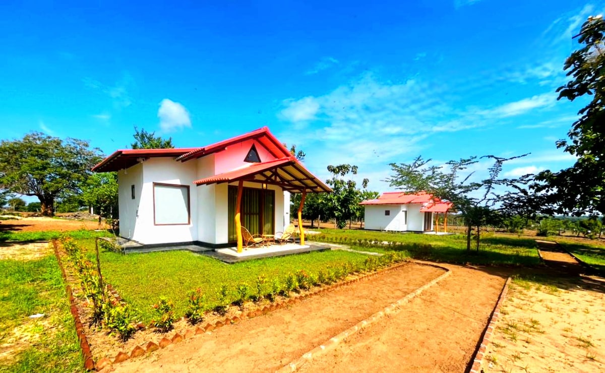 A charming exterior showcases two bungalows with red roofs, surrounded by lush greenery. A well-maintained pathway leads to the entrance, flanked by neatly trimmed grass and small plantings. The clear blue sky enhances the inviting outdoor setting.