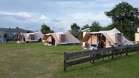 Popular Airbnb listing: de Hon 6 in Ballum