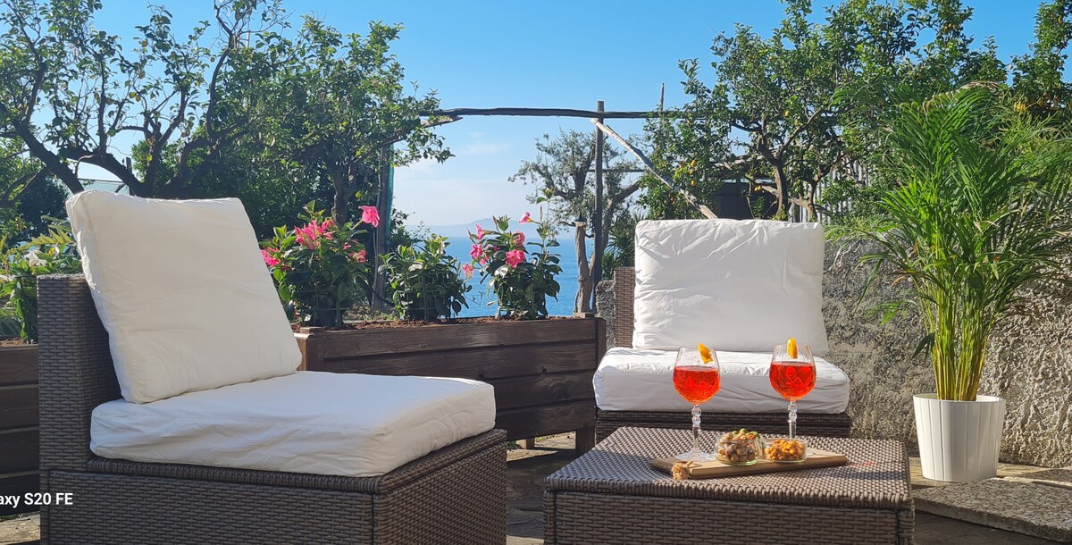 An outdoor seating area is featured, equipped with two cushioned chairs and a small table. Two drinks are placed on the table, alongside a plate of snacks. Lush greenery and blooming flowers frame the space, with a view of the sea in the background.