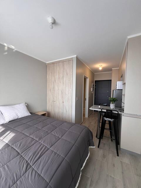 Departamento Estudio, Pitrufquén