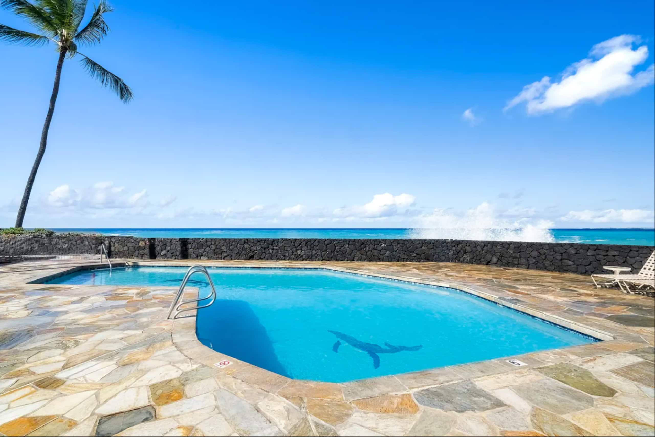 180° Ocean View with AC, see Wildlife from Lanai - Image 43