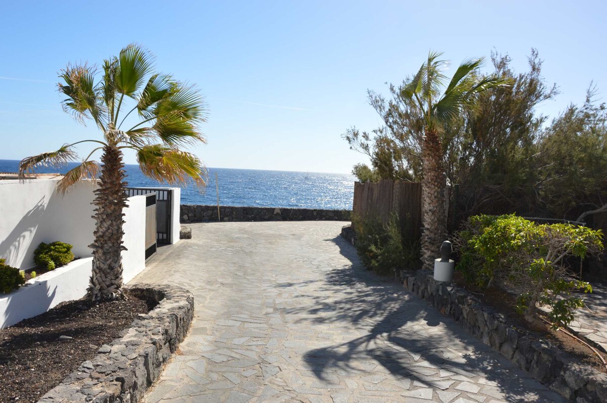 A pathway lined with palm trees leads towards the sea, showcasing a clear view of the water in the background. The stone walkway is illuminated by sunlight, and shrubs are visible along the sides, providing a natural border to the scenic view.