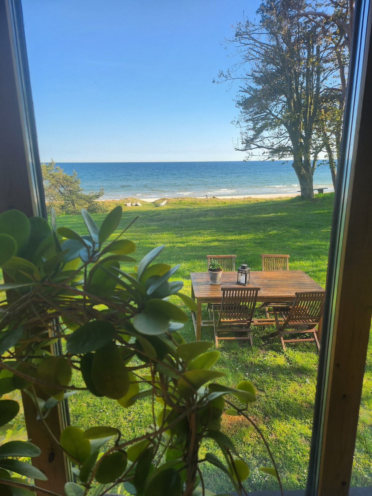 A view of a serene beachfront from a window shows a well-maintained lawn leading to the sandy shore. A wooden dining table with several chairs is positioned in the foreground, complemented by lush green foliage from an indoor plant.