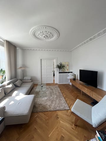 Big 5 room apt. in center of CPH