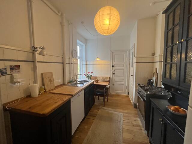 Big 5 room apt. in center of CPH gallery image 5