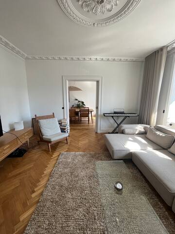 Big 5 room apt. in center of CPH gallery image 2