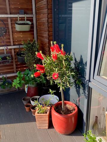 Old St 3 Bed City Apartment (N1) gallery image 4