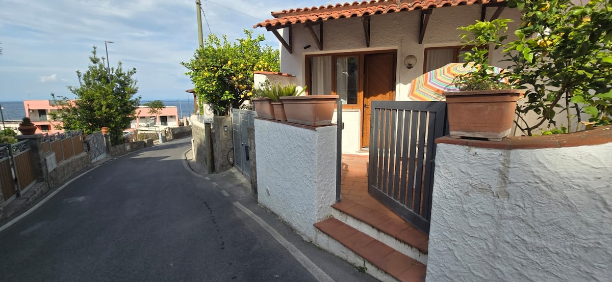 The entrance features a terracotta-tiled patio bordered by decorative plants and an umbrella offering shade. A sturdy gate provides access to the inviting entryway of the house, with a road leading into a scenic neighborhood in the background.