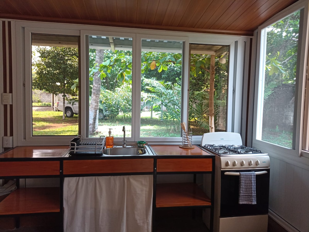 A well-equipped kitchen is shown, featuring a gas stove and a sink with ample counter space. Large windows allow natural light and views of the garden outside. Shelves above the counter provide storage for kitchen essentials, enhancing the functional layout.