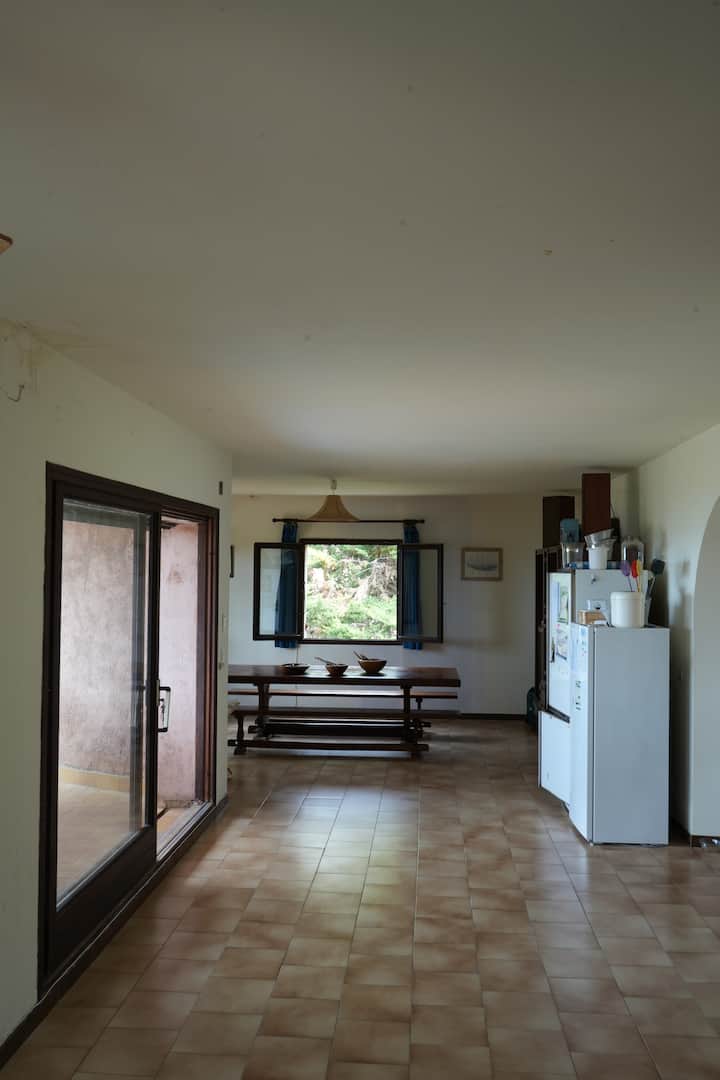 Grande Villa En Front De Mer - Sant Ambroggio - Lumio