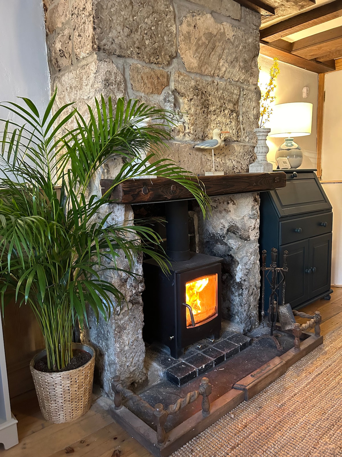 A rustic stone fireplace is featured, housing a glowing log burner that adds warmth to the space. A potted plant is positioned beside the fireplace, complementing the natural elements. The surrounding area includes wooden flooring and softly lit furnishings.