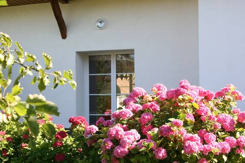 The farmhouse  Bahotine with a capacity of 12 to 14 p