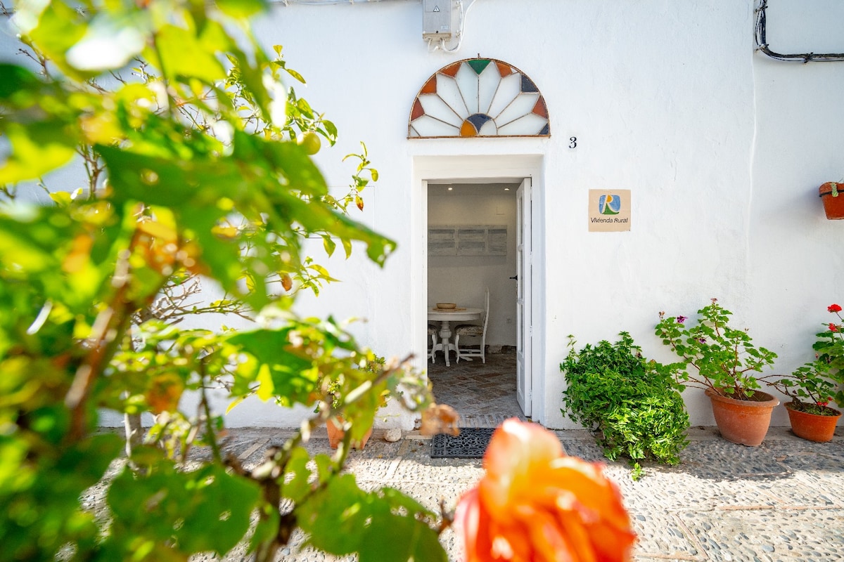 An entrance framed by vibrant greenery leads into a bright and welcoming space. The whitewashed walls are complemented by a decorative window above the door, and potted plants add a touch of color to the scene, enhancing the inviting atmosphere.