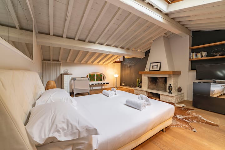 Elegant Penthouse in Santo Spirito