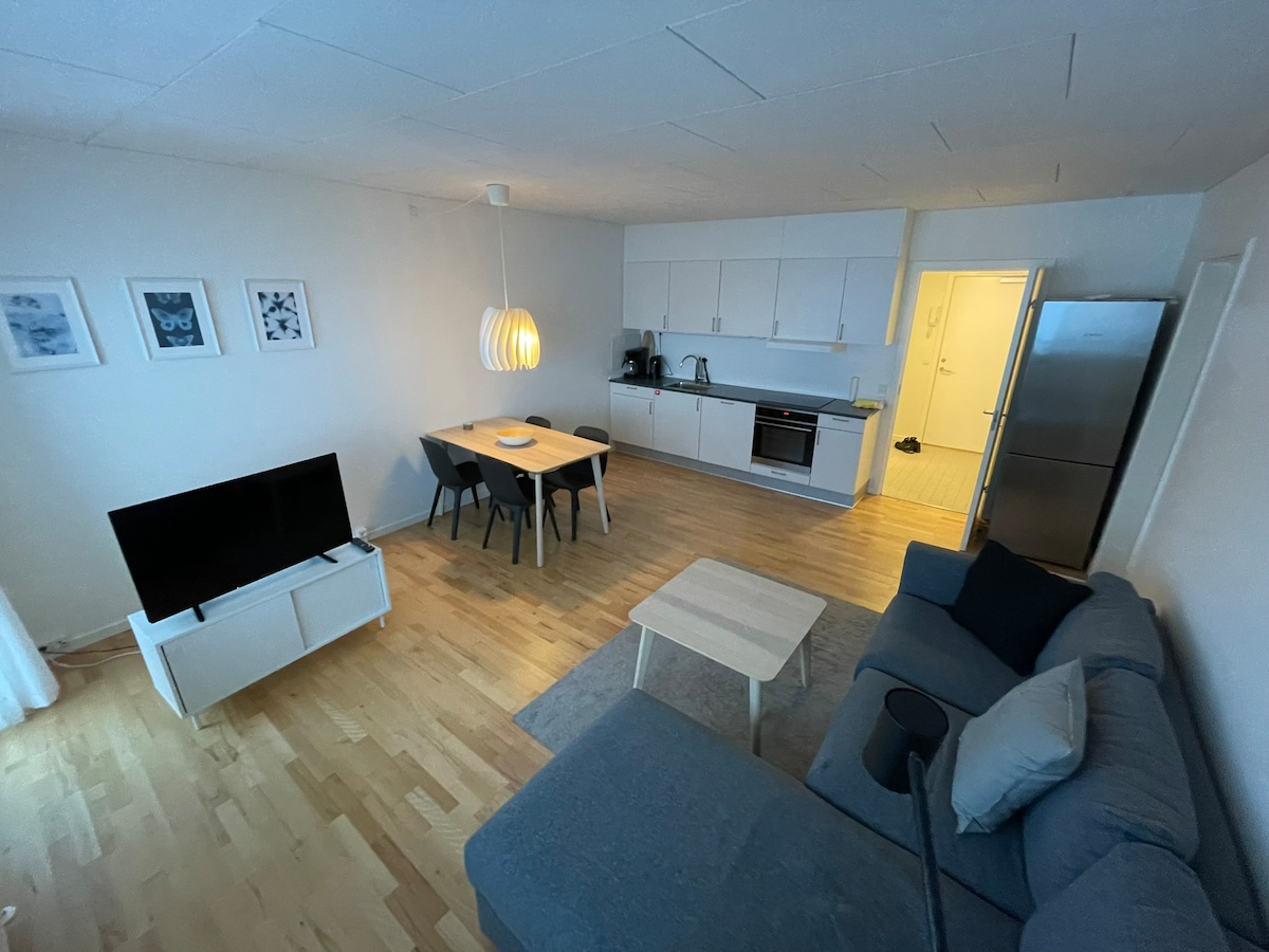A spacious living area features a modern couch, a light-colored coffee table, and a dining table with chairs. The kitchen is equipped with sleek cabinetry and modern appliances. Natural light enters through the window, illuminating the space and highlighting framed artworks on the walls.