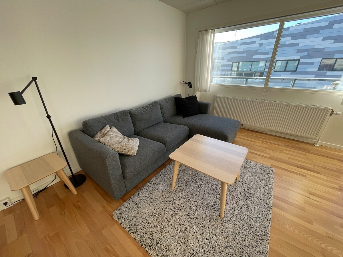 A modern living area features a gray sofa complemented by a black cushion and a light wood coffee table. A soft rug is positioned beneath the table, and natural light streams through large windows, illuminating the warm wooden flooring.