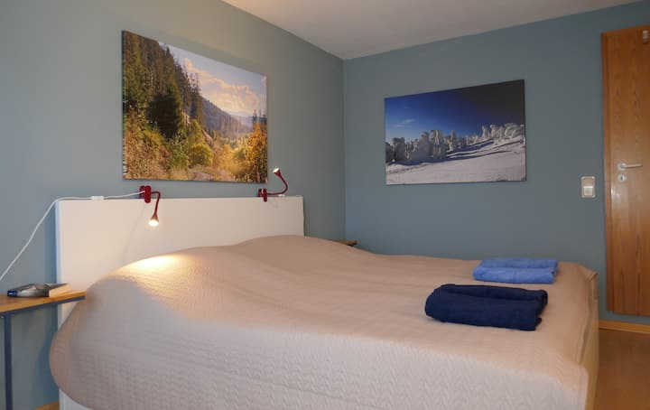 udoban bračni krevet 180 x 200 cm s noćnim ormarićima i svjetiljkama za čitanje