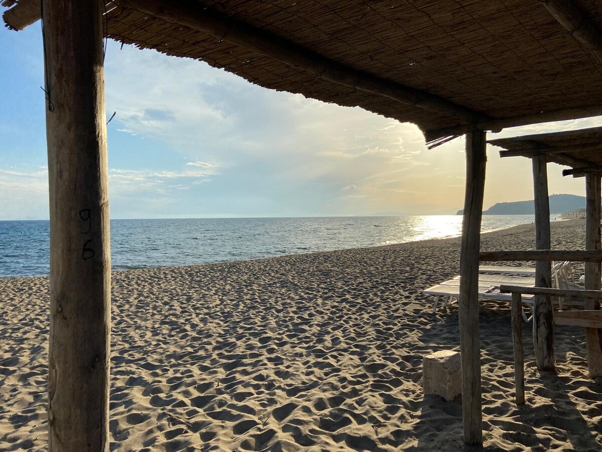 A serene beach view is captured from beneath a thatched roof. The sandy shore extends toward the gentle waves of the sea, reflecting the soft light of the setting sun. A distant shoreline is visible, adding to the tranquil ambiance of the scene.