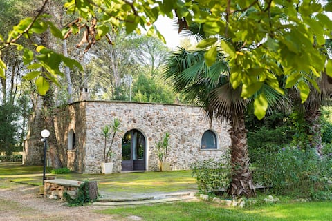 Woodland house - Estate Chimeta