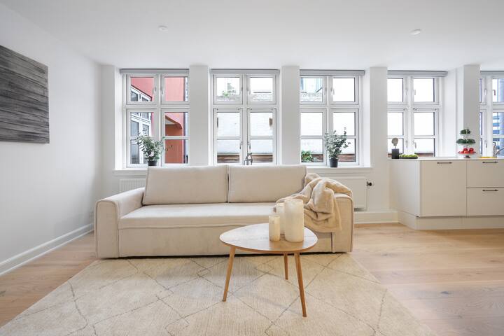 Luxury apartment in Copenhagen gallery image 4