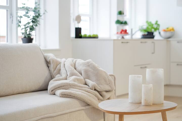 Luxury apartment in Copenhagen gallery image 5