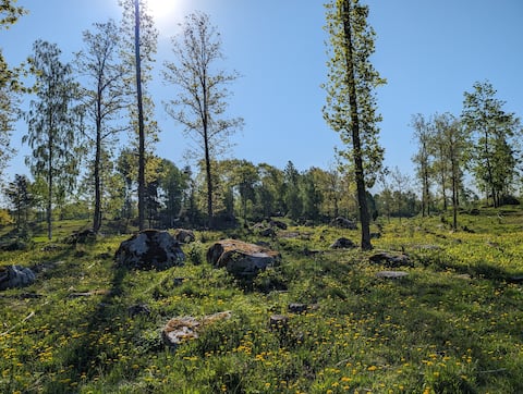 Egen lägenhet i Örebro
