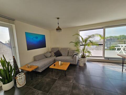 Penthouse with big terrace